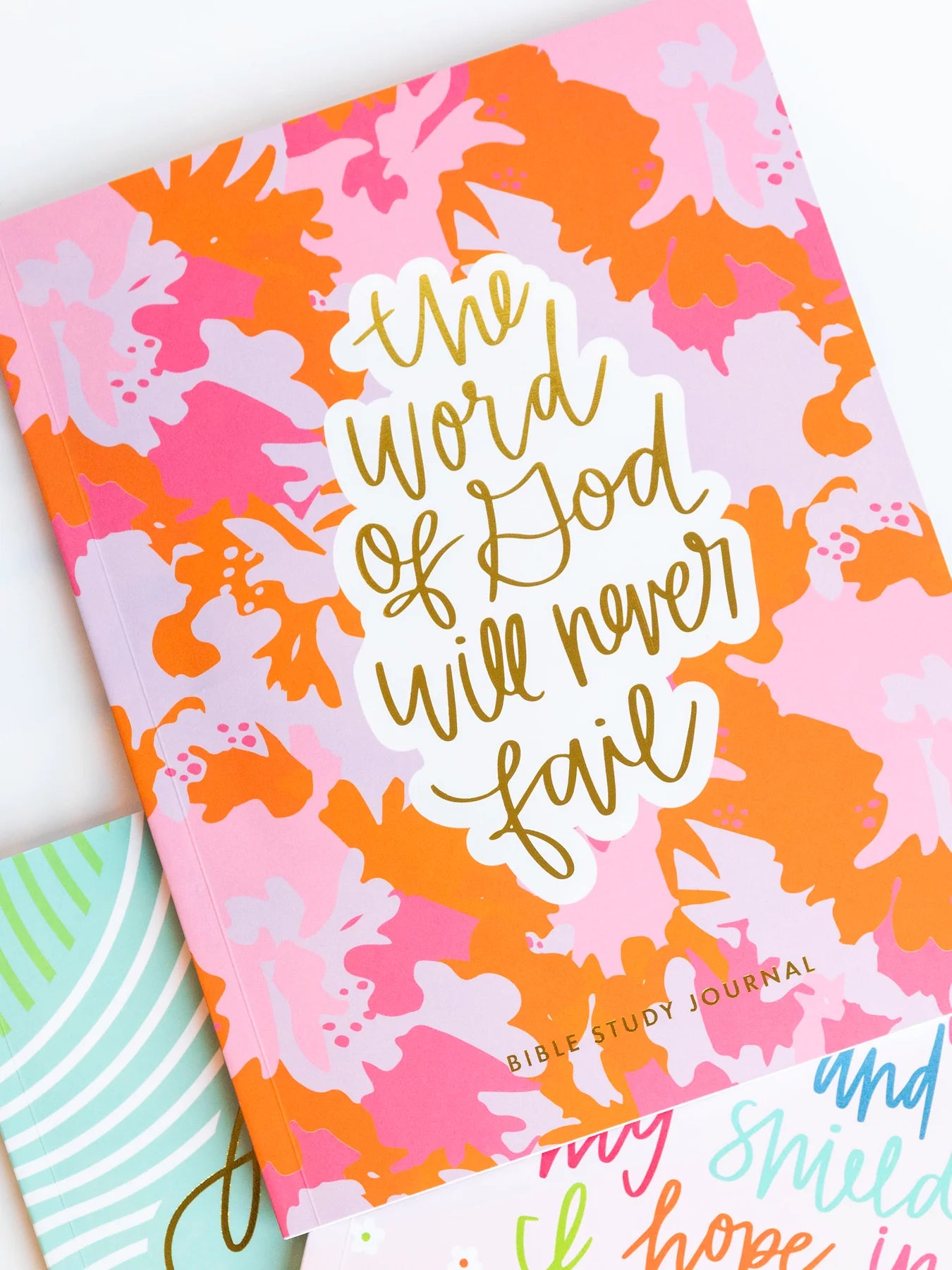 Will Never Fail Bible Study Journal