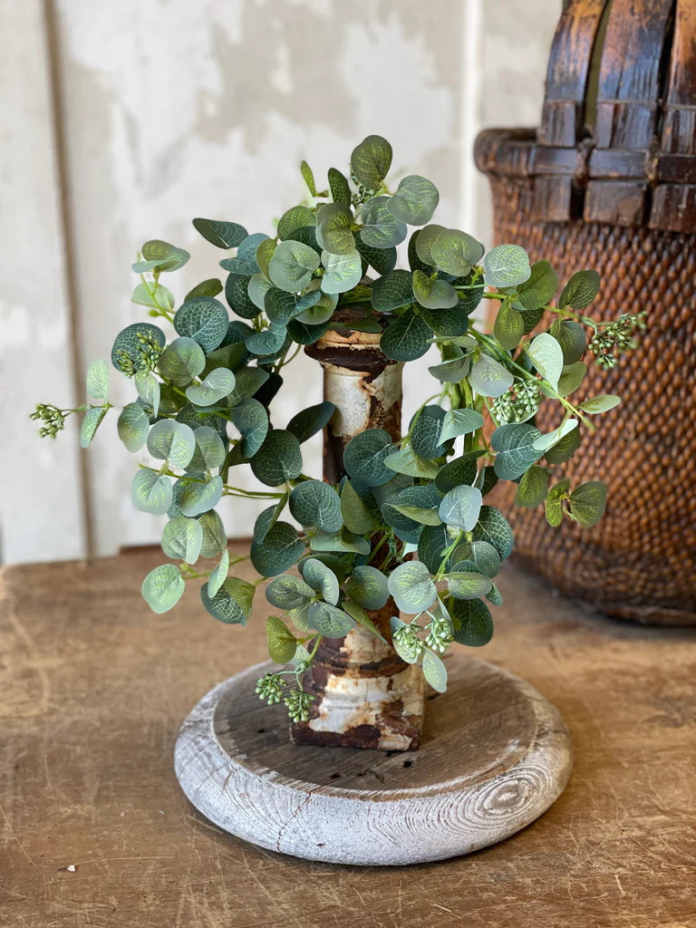 4.5” Sweet Seed Eucalyptus Candle Ring