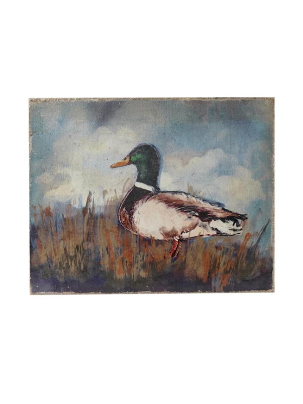 Mallard Canvas Print
