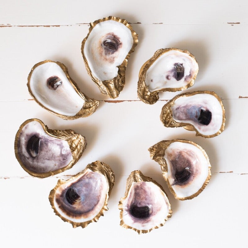 Oyster Shell Dish