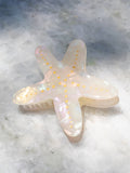 Starfish-shaped hair clip with gold accents