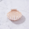 Shell-shaped hair clip with gold accents 