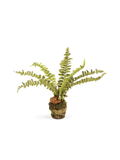 fake Boston Fern Drop-In 7.5"