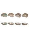 Ceramic oyster dish with different patterns 