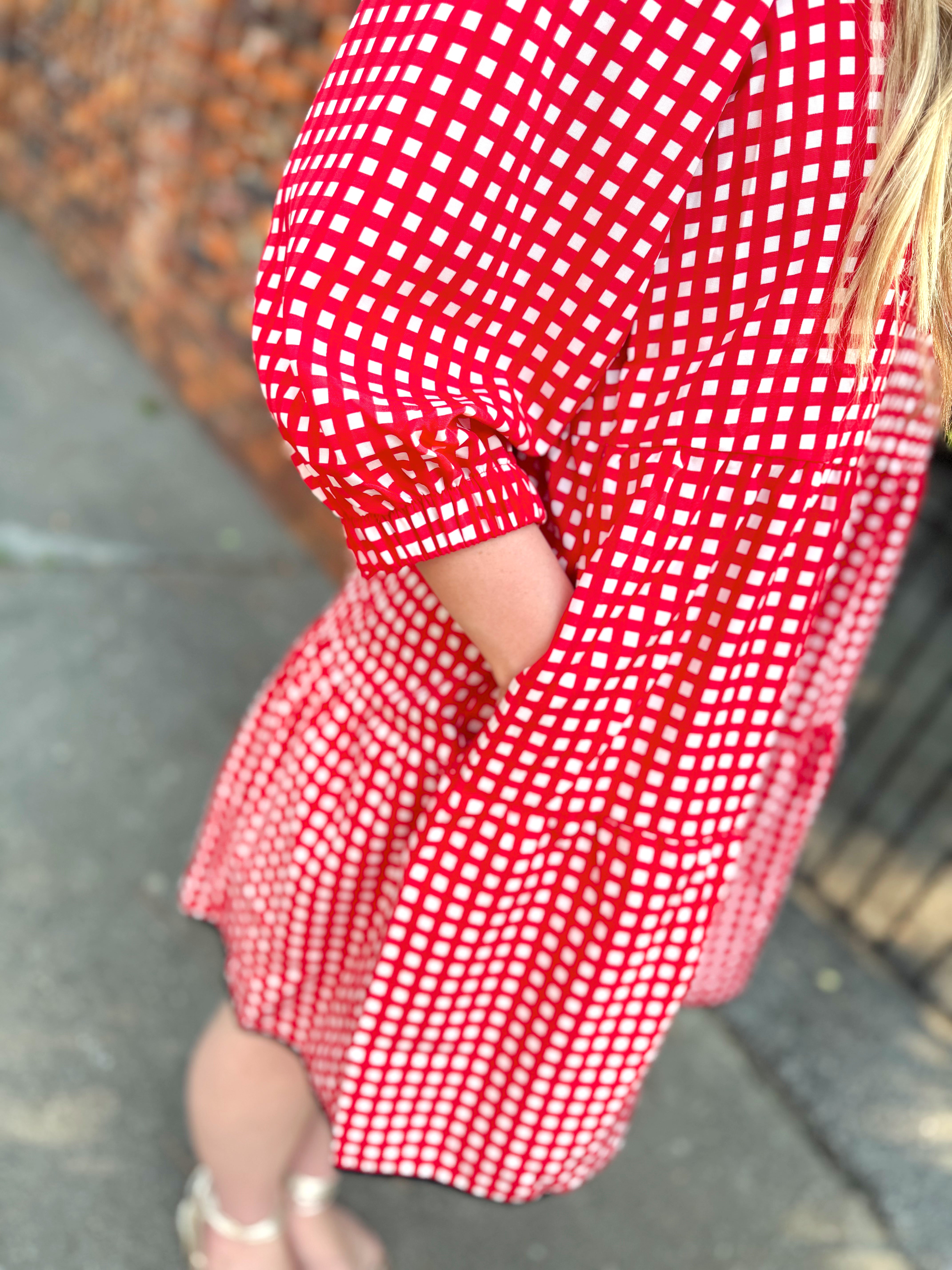 The Cooper Gingham Dress in Red/Black By Mary Square (S-2X)