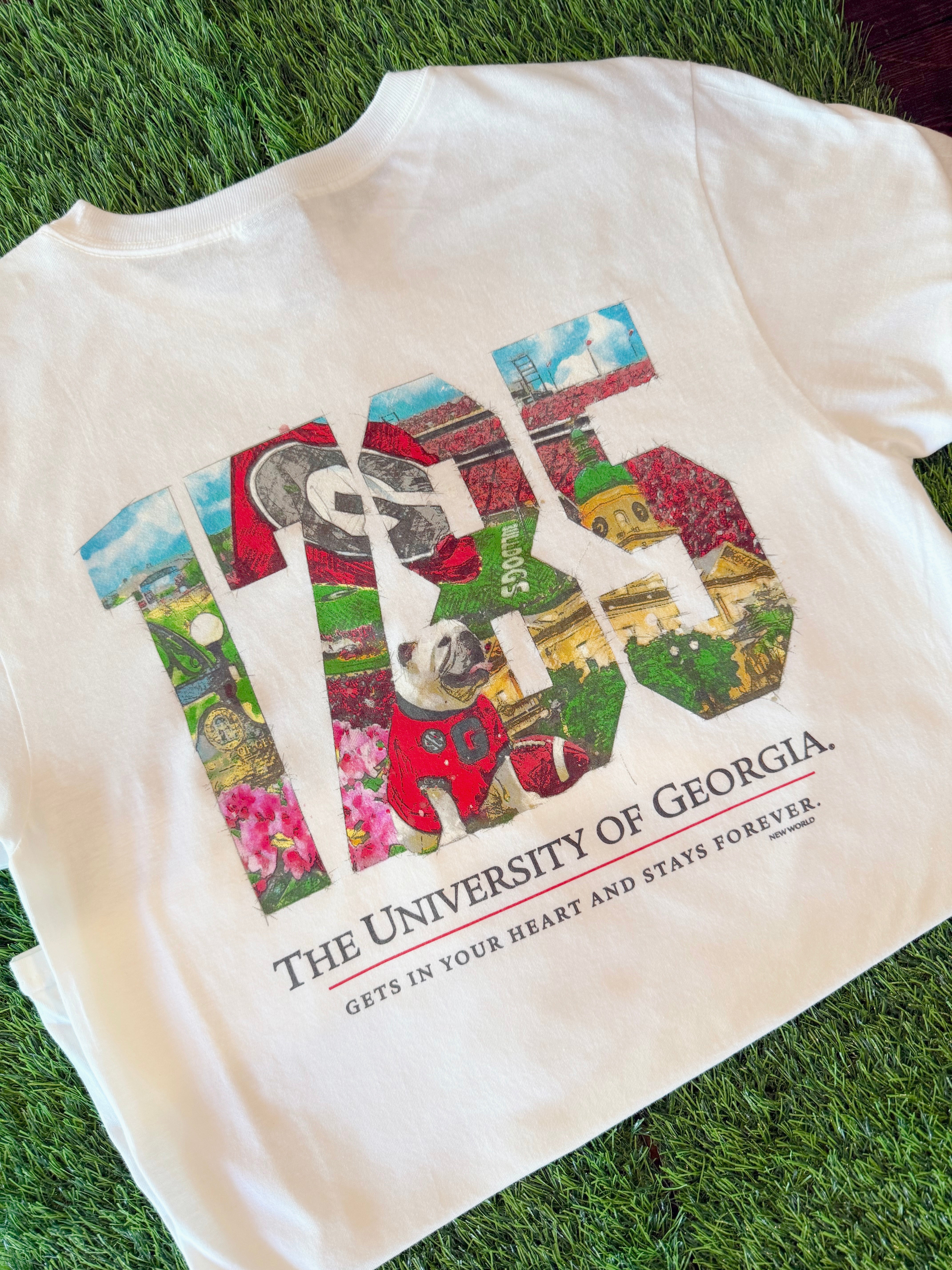 UGA Year Painting Tee