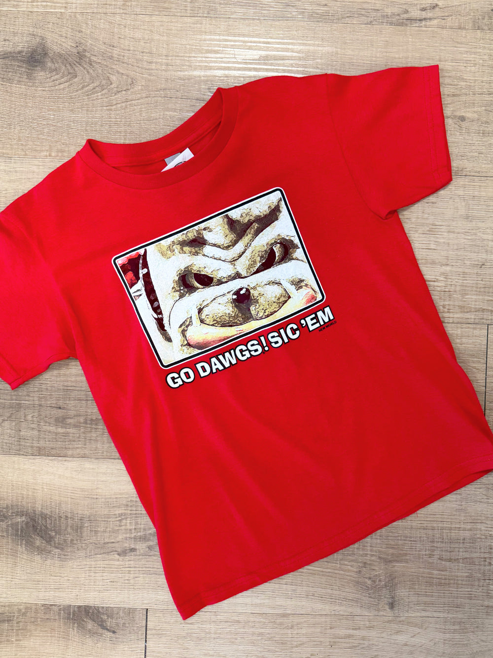 Youth UGA Painted Close Tee
