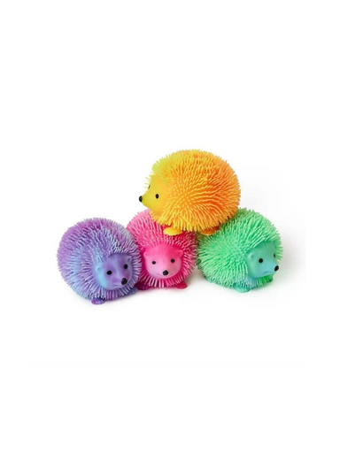 Light Up Hedgehog Tactile Toy/sensory toy