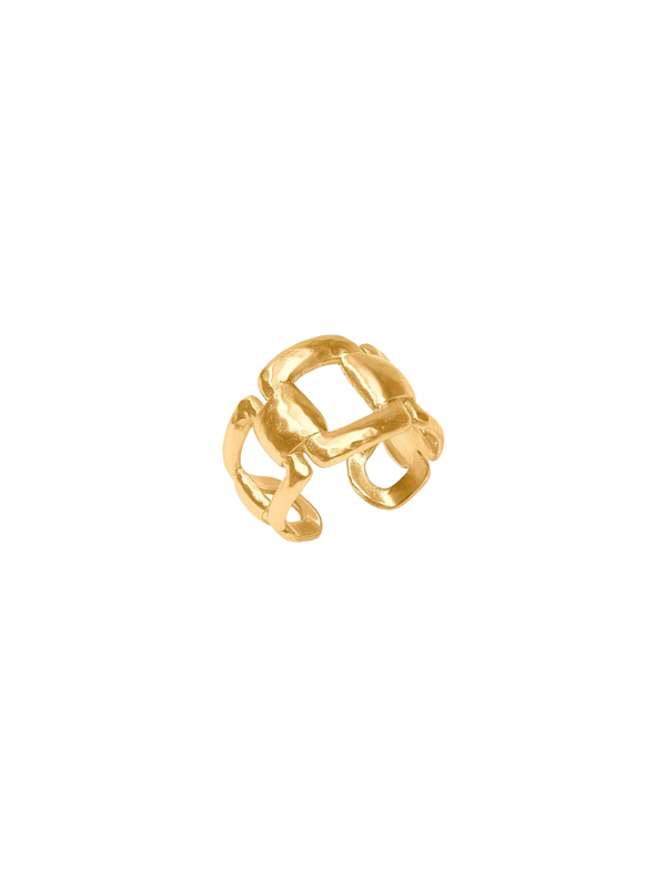 Sahara Ring By Julie Vos