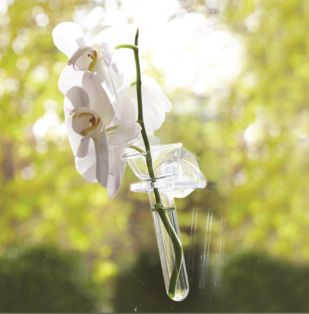 Hanging Wall Flower Vase