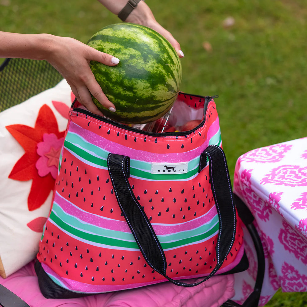 Al Fresco Open Bar Picnic Cooler by Scout