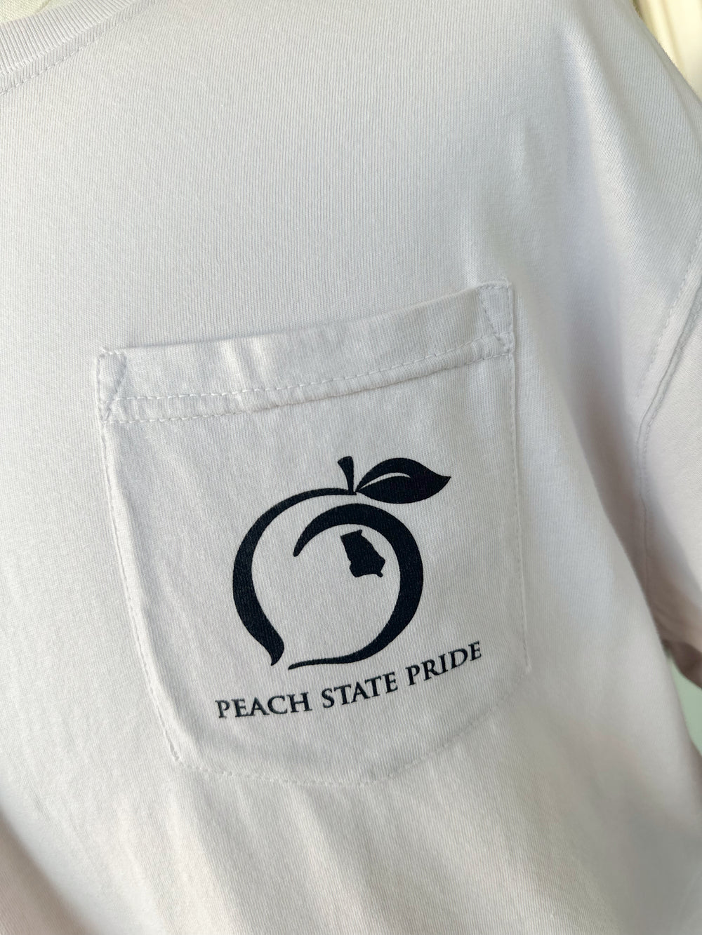 GA Emblem Tee in Oyster By Peach State Pride