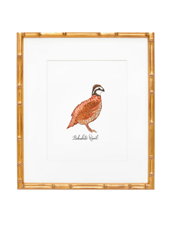 8x10 Bobwhite quail nature watercolor print art decor