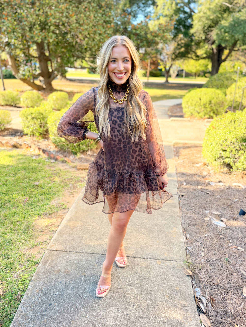 This mini dress features a rich brown leopard print with a sheer overlay that gives the whole dress a soft, elevated look.