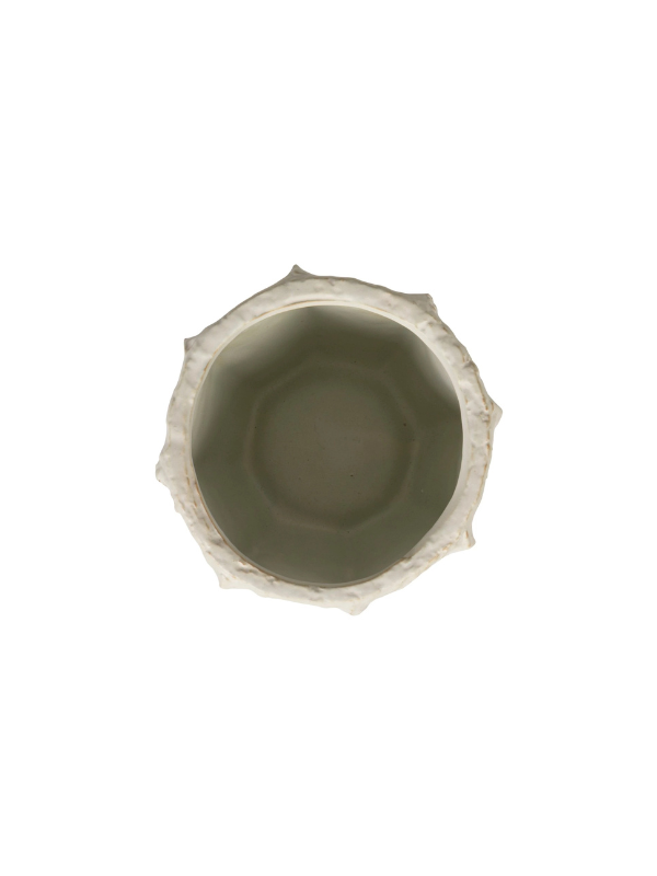 Organic Shaped Planter in Matte Mint