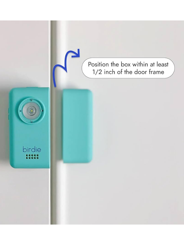 Birdie Box Door Alarm in Aqua