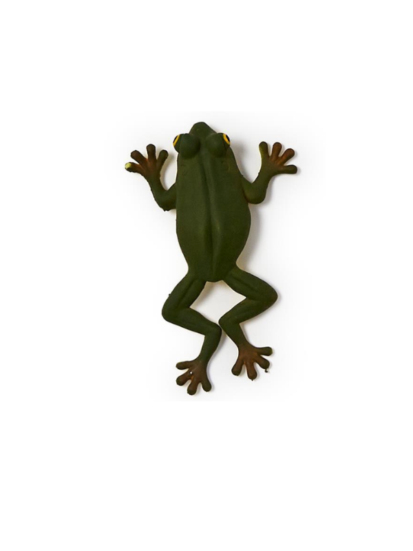 Colorshift Squeeze Frog