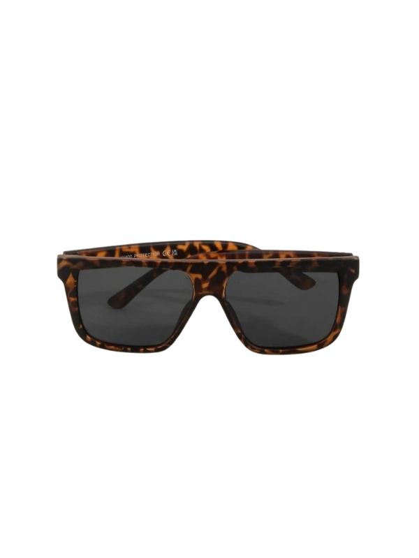 Square Framed Acetate Sunglasses