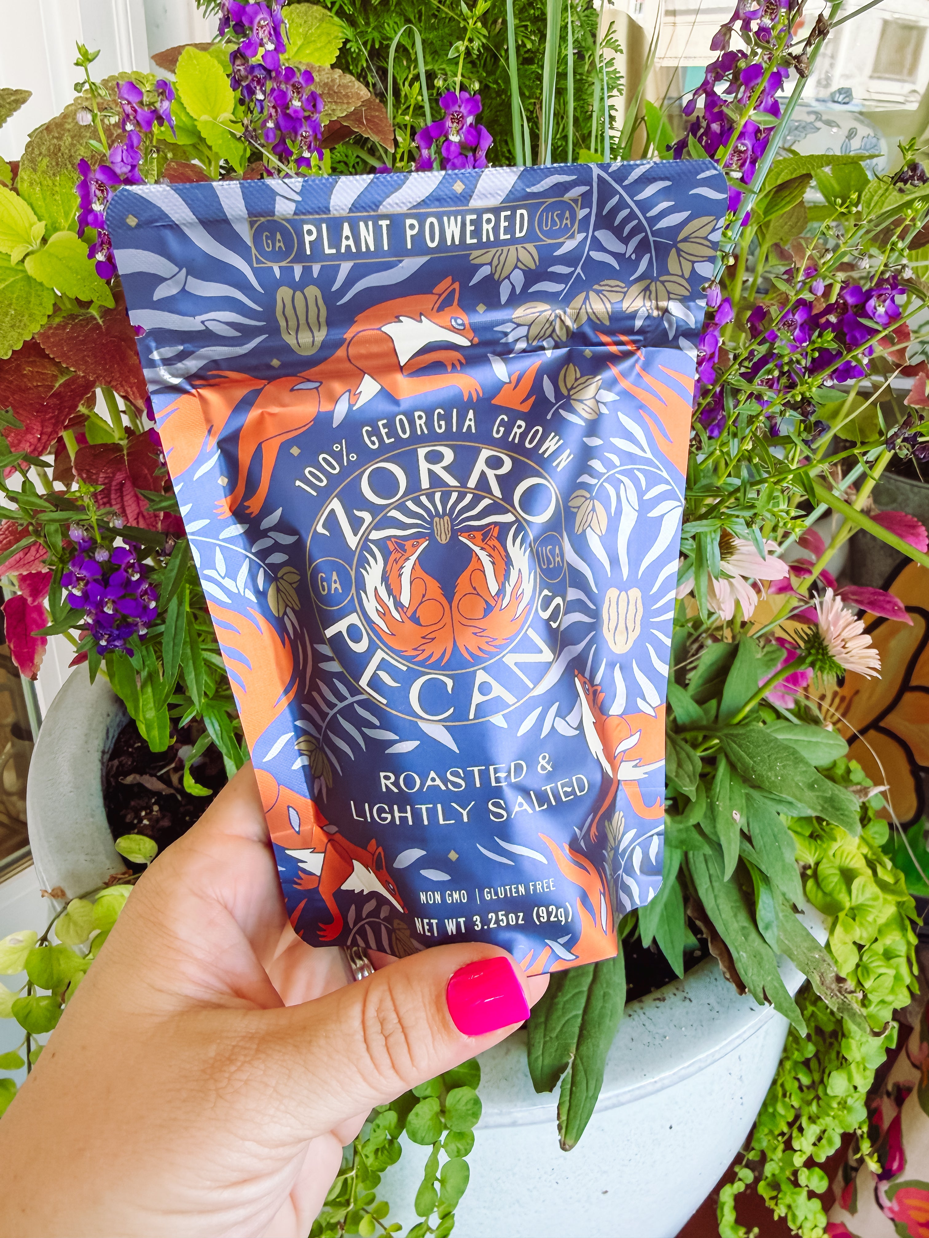 A hand with bright pink nail polish holds a pouch of Zorro Pecan Roasted & Lightly Salted snack in front of a lush background of potted plants with purple flowers. The pouch features a vibrant blue and orange design with an illustration of a fox and a pecan.
