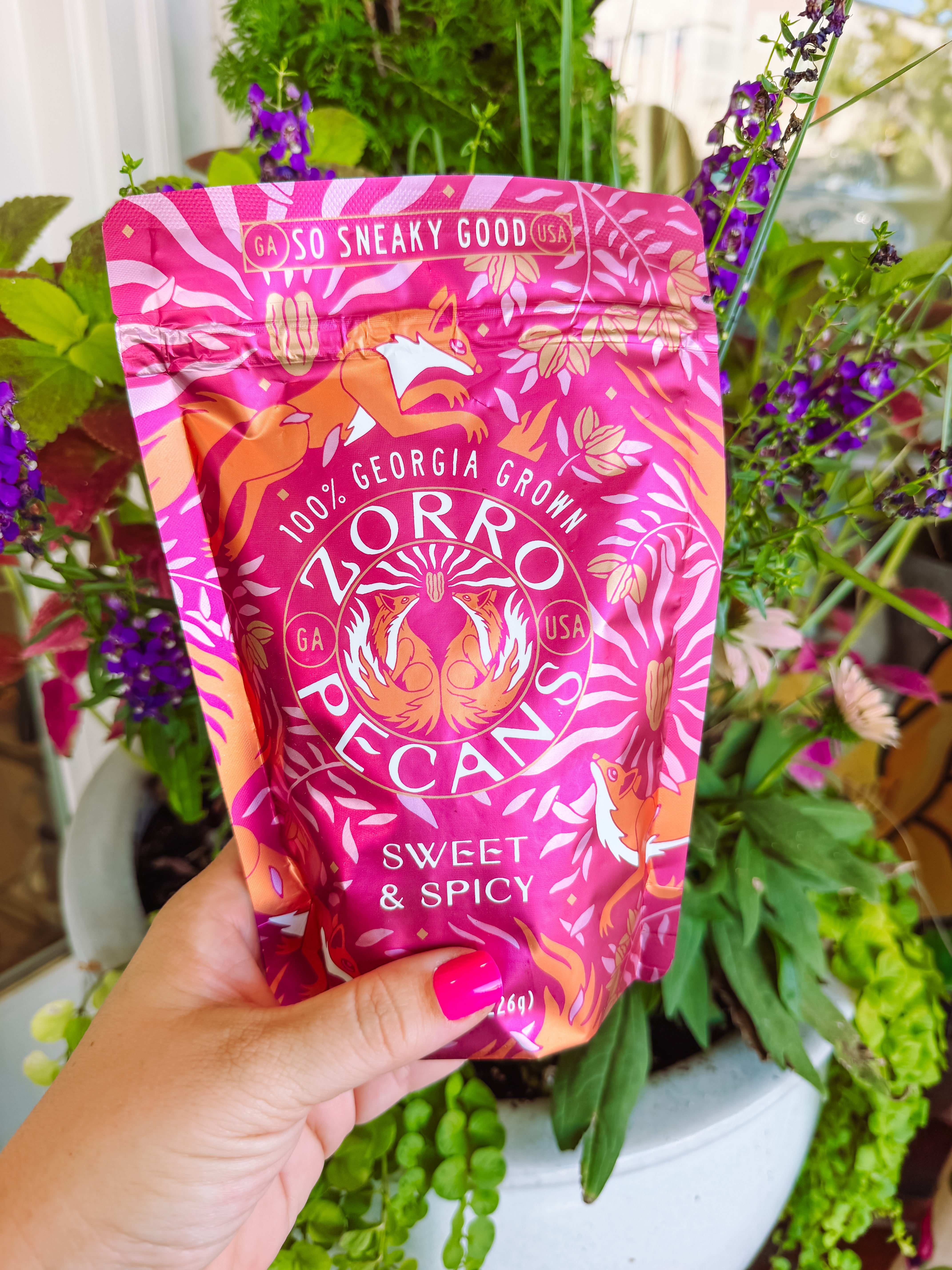 A hand holds a bright pink and orange stand-up pouch of Zorro Pecano Sweet & Spicy coffee against a background of green potted plants.