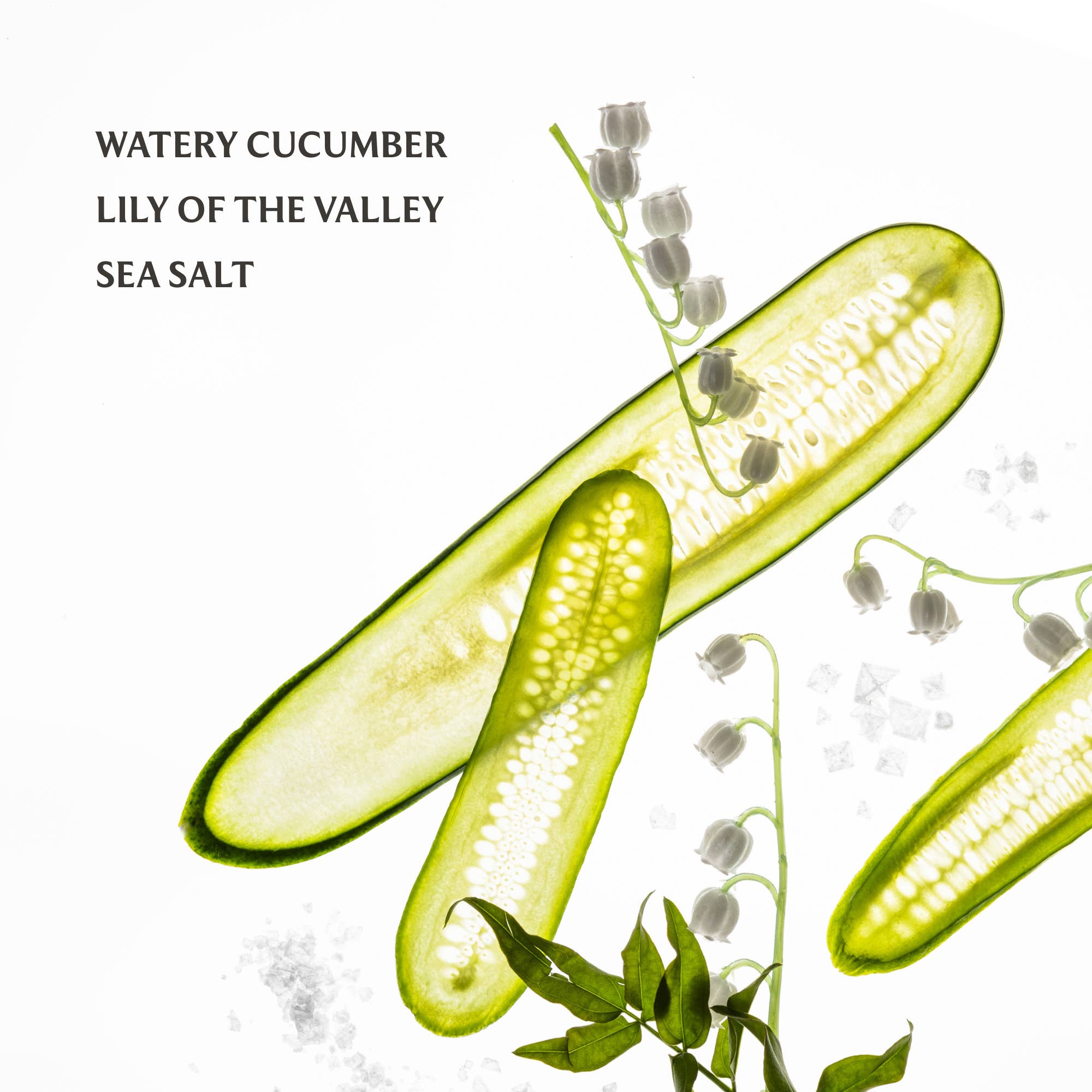 Touchland Lily Of The Valley Gentle Mist