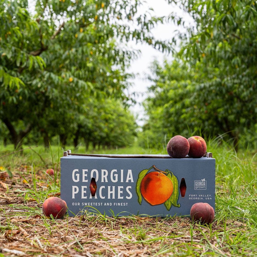 Pearson Farm Peach Crate Tee in Cream By Georgia Golf Company