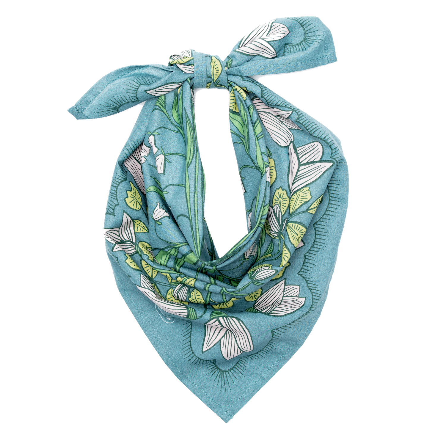 Cassie Teal and Green Bandana