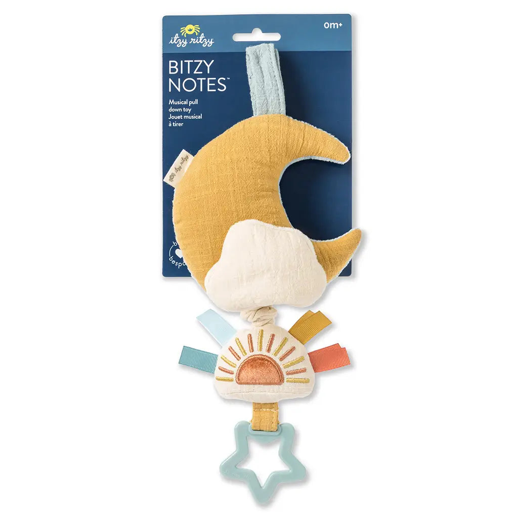 Cloud & Sun Bitzy Notes™ Musical Pull-Down Toy