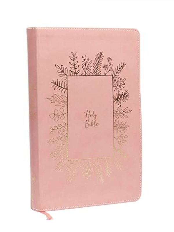 NKJV Bible for Kids
