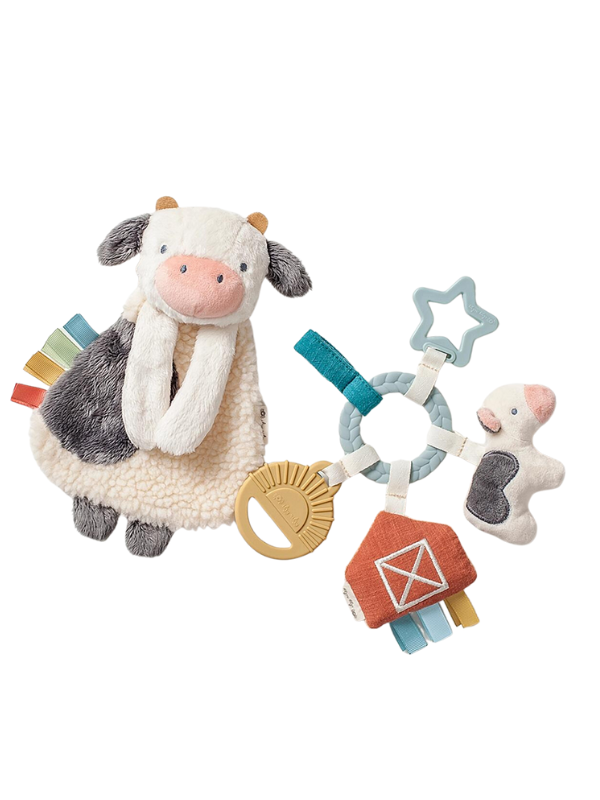 Bitzy Busy Gift Set