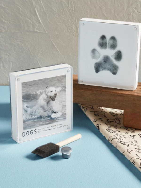 Acrylic Paw Print Frame